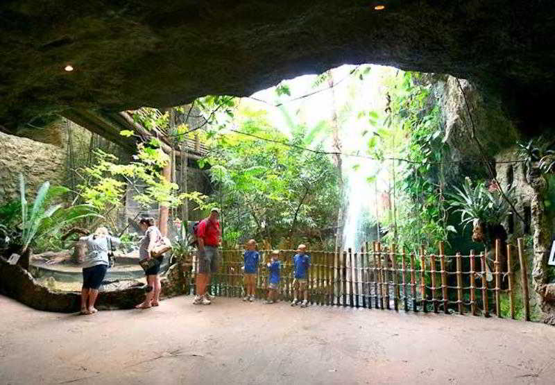 호텔 Towneplace Suites Dallas Desoto