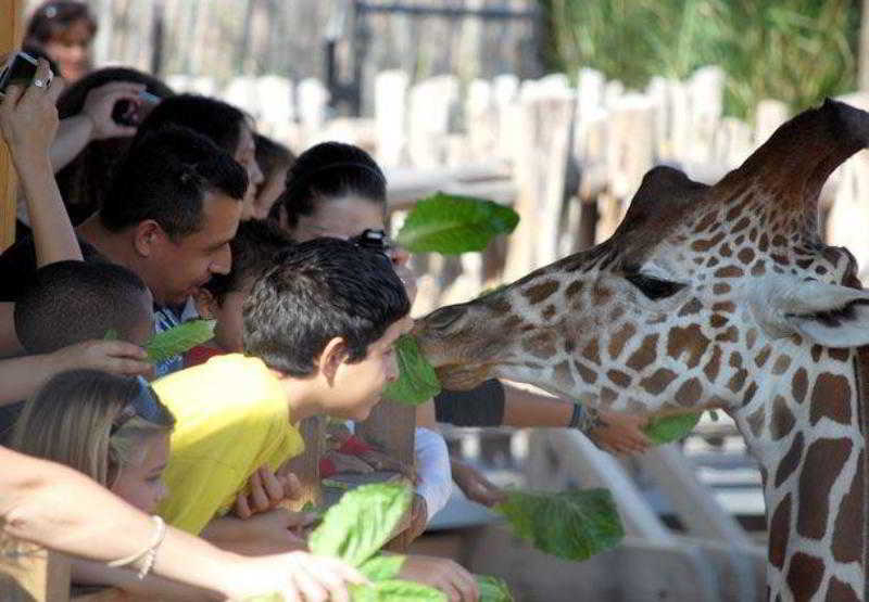 호텔 Towneplace Suites Dallas Desoto