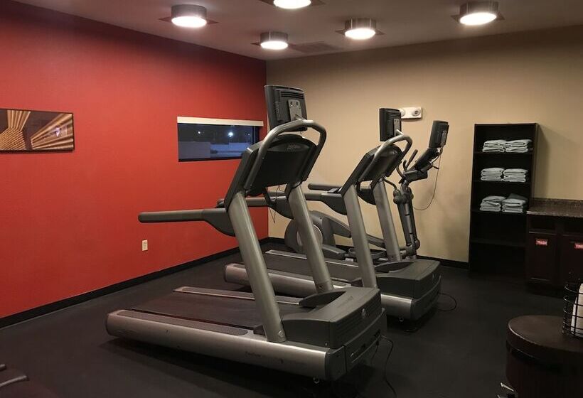 בית מלון כפרי Towneplace Suites Dallas Desoto