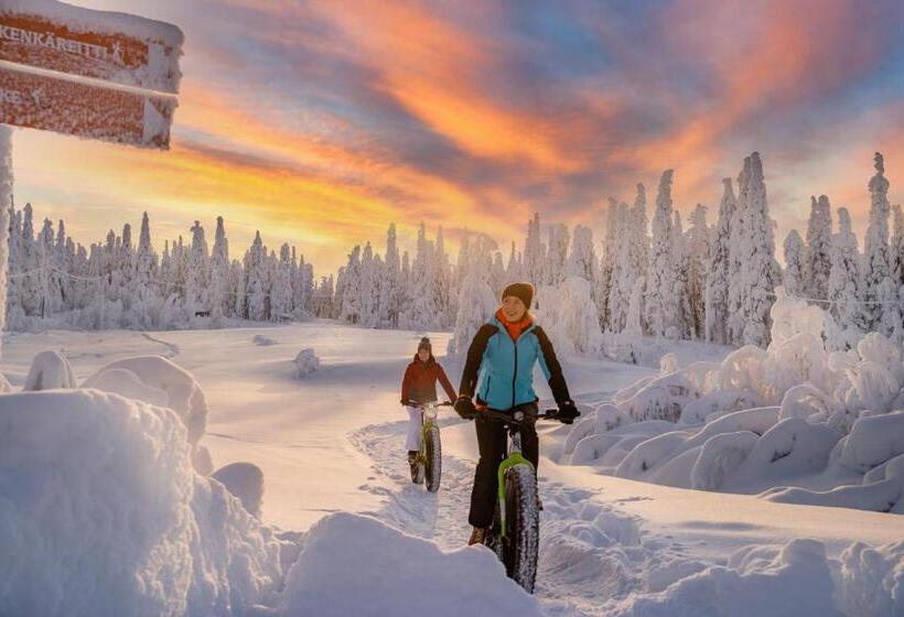 酒店 Ukkohalla Chalets