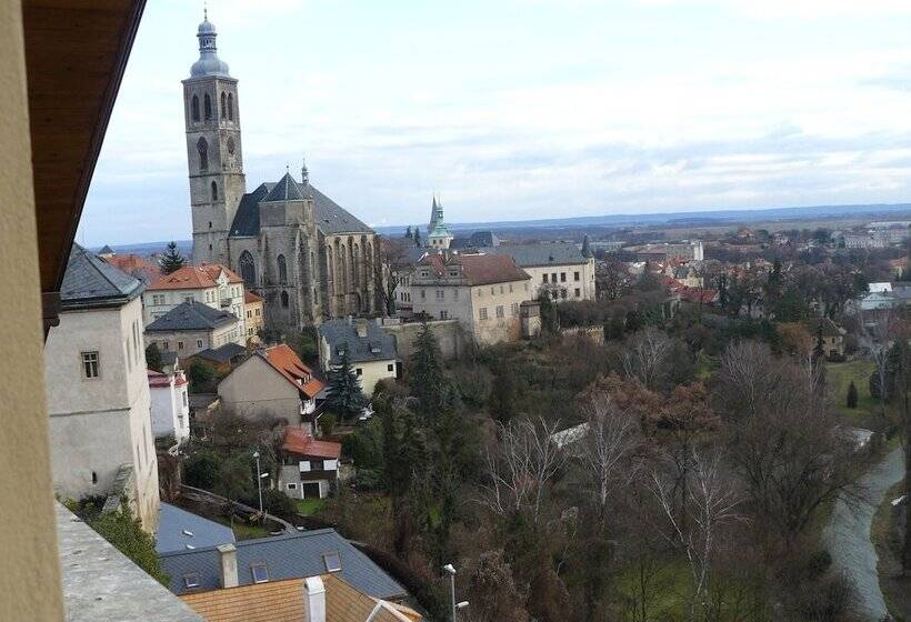 Отель Vila U Varhanáře