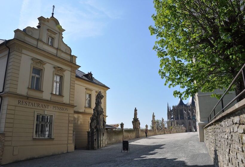 Отель Vila U Varhanáře