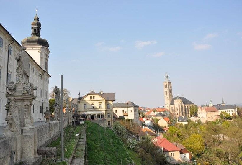 Отель Vila U Varhanáře