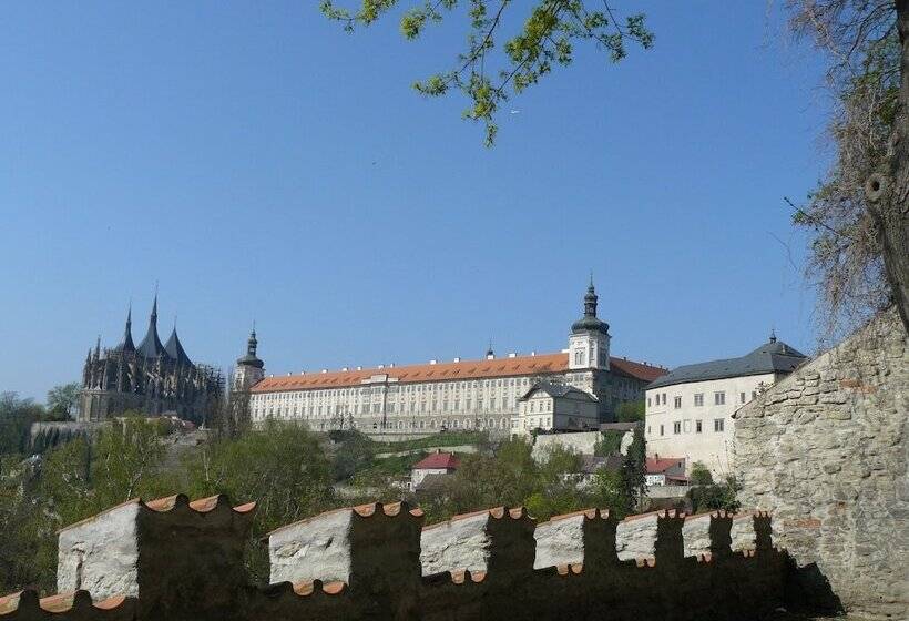 Отель Vila U Varhanáře