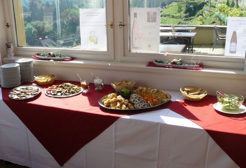 Отель Vila U Varhanáře