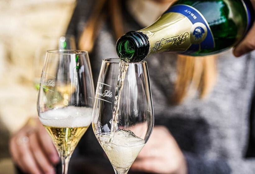 Отель Vila U Varhanáře