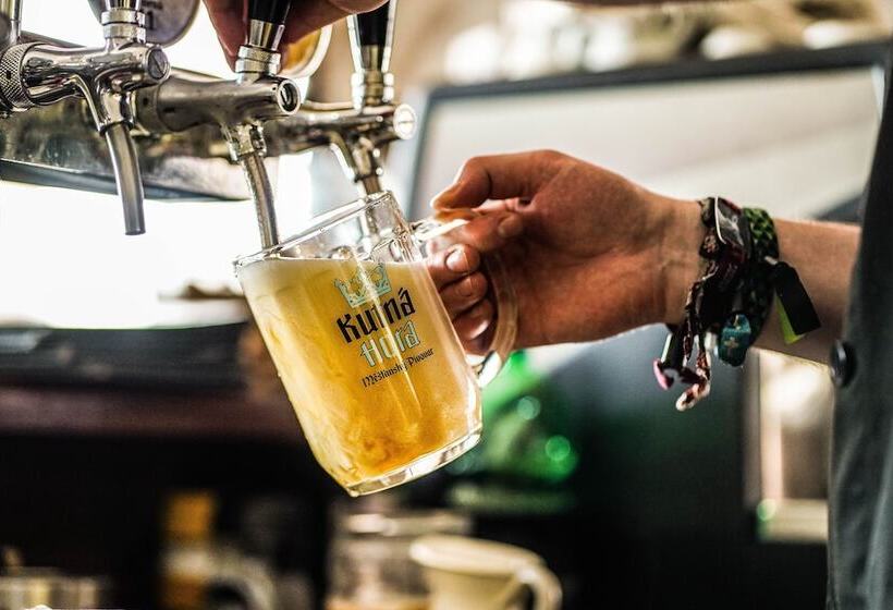 Отель Vila U Varhanáře