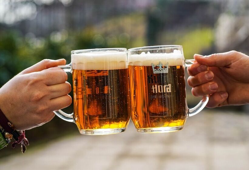 Отель Vila U Varhanáře