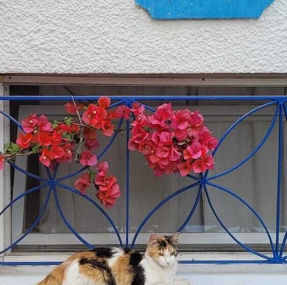 Kelebek Butik Pansiyon