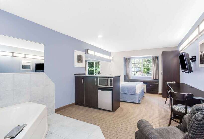 Microtel Inn & Suites Bath