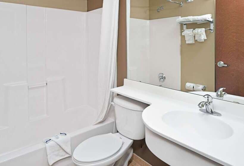 Microtel Inn & Suites By Wyndham Bluffs