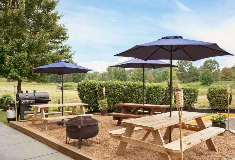 Microtel Inn & Suites By Wyndham Culpeper