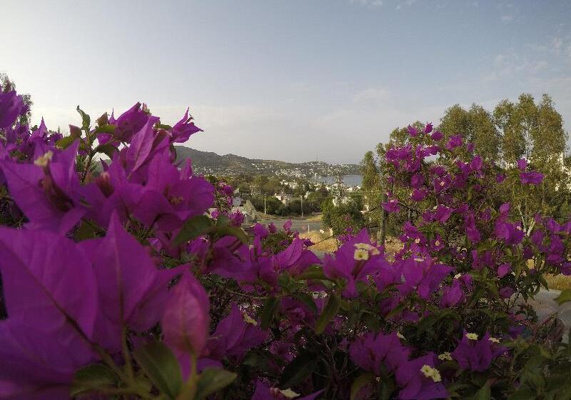 Panorama Hotel Bodrum