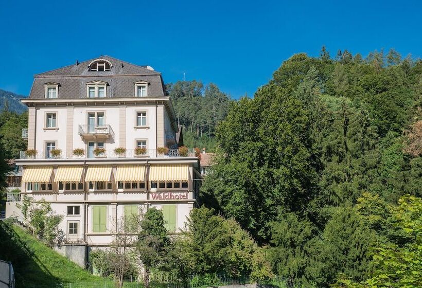 Budget Waldhotel Unspunnen