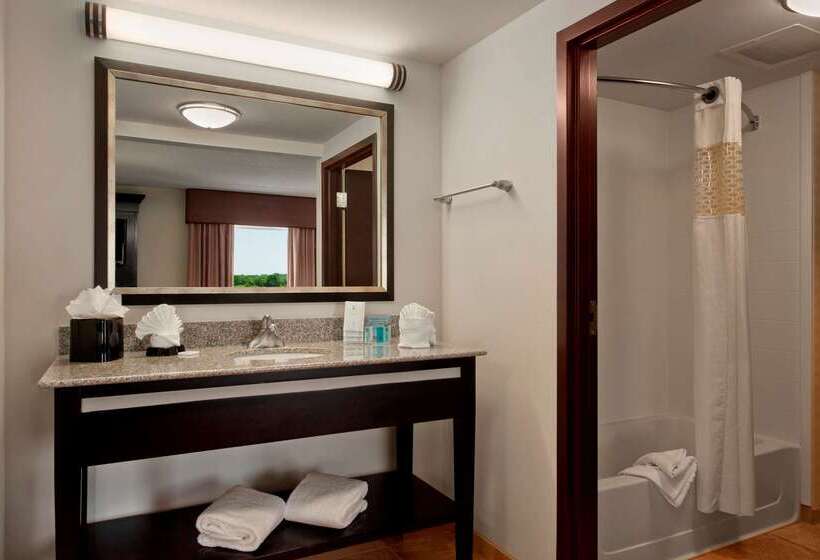 Hampton Inn & Suites Detroit / Airport   Romulus