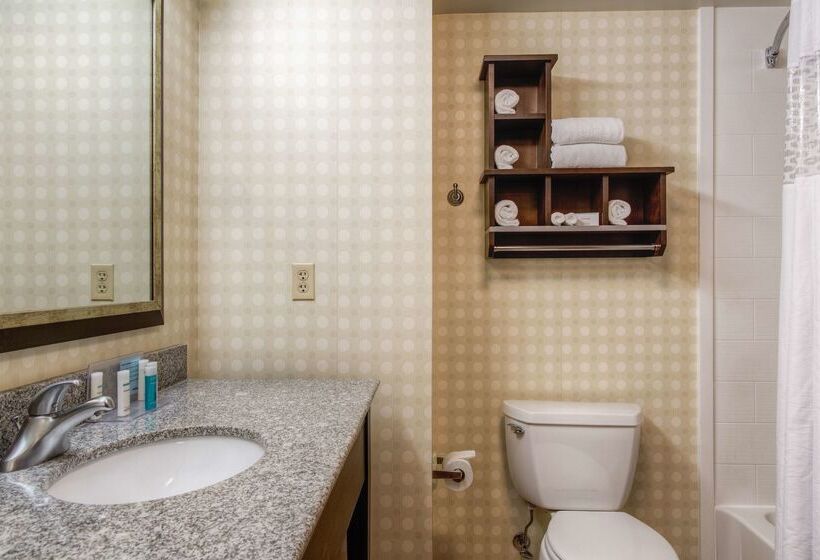 Hampton Inn & Suites Detroit / Airport   Romulus