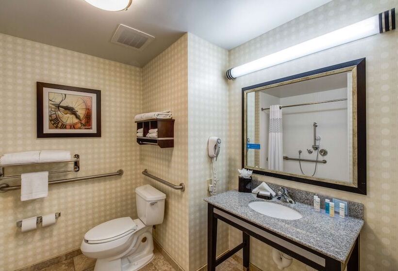 Hampton Inn & Suites Detroit / Airport   Romulus