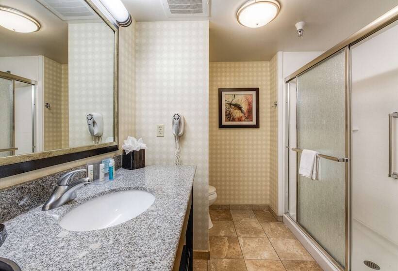 Hampton Inn & Suites Detroit / Airport   Romulus