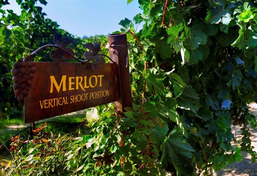 Hampton Inn & Suites Lodi