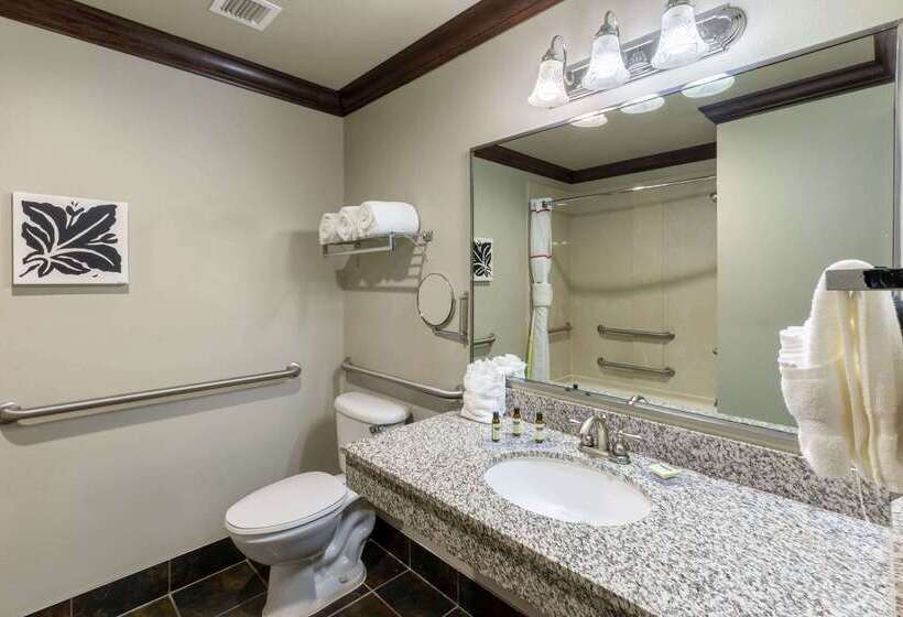 Hawthorn Suites By Wyndham Lubbock