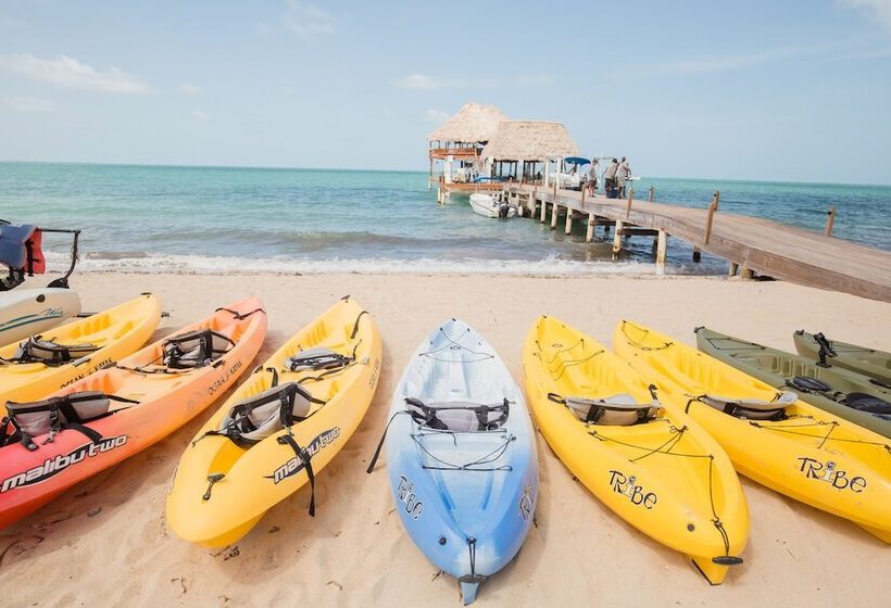 فندق Almond Beach Resort At Jaguar Reef