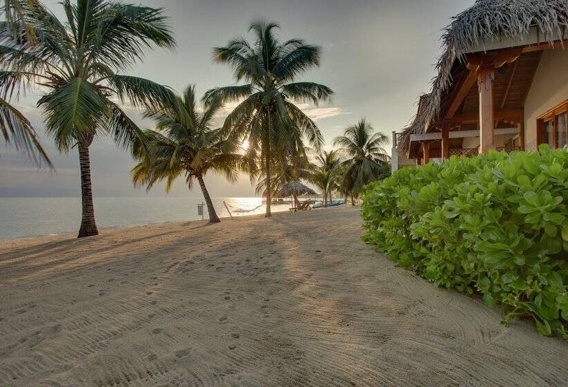 فندق Almond Beach Resort At Jaguar Reef