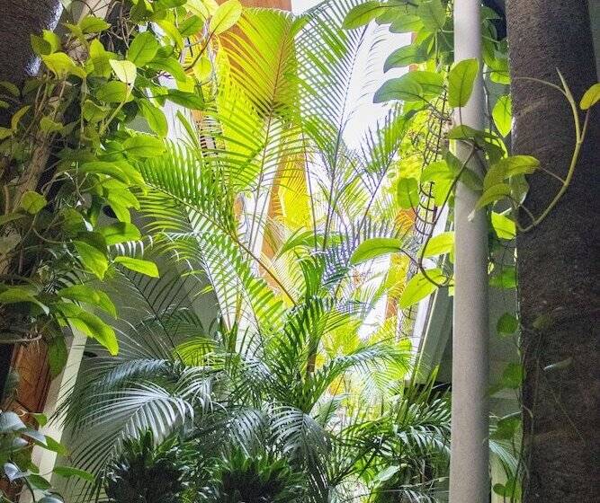 árbol De Fuego Eco Hotel, A Green Experience In The City