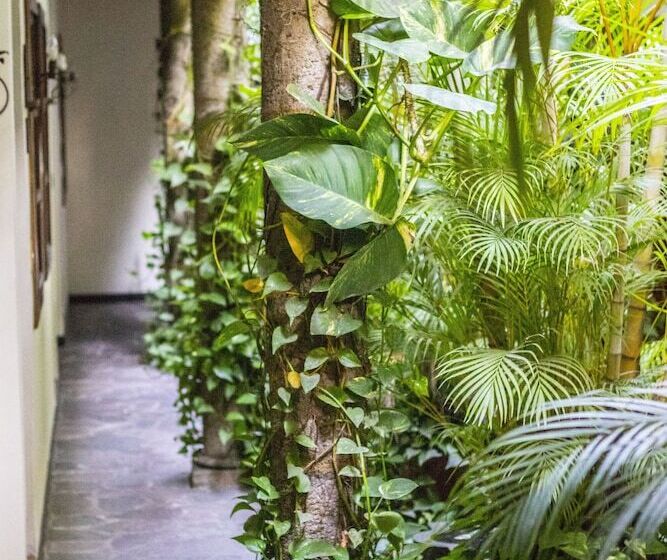 árbol De Fuego Eco Hotel, A Green Experience In The City