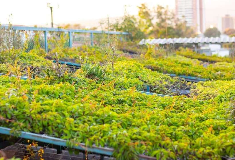 árbol De Fuego Eco Hotel, A Green Experience In The City