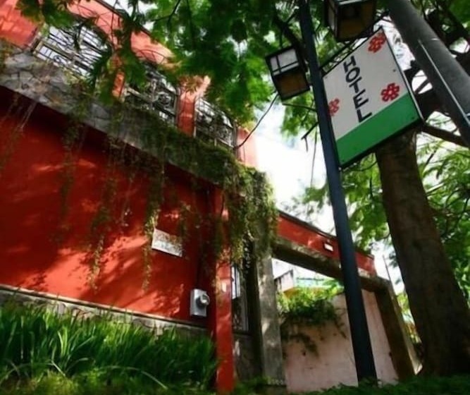 árbol De Fuego Eco Hotel, A Green Experience In The City