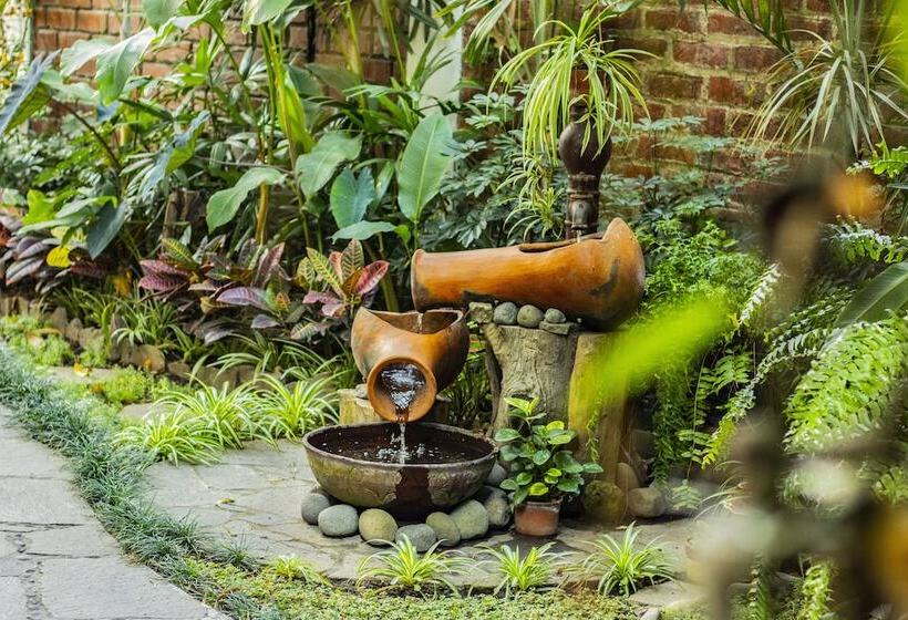 árbol De Fuego Eco Hotel, A Green Experience In The City