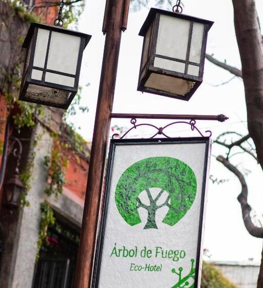 árbol De Fuego Eco Hotel, A Green Experience In The City