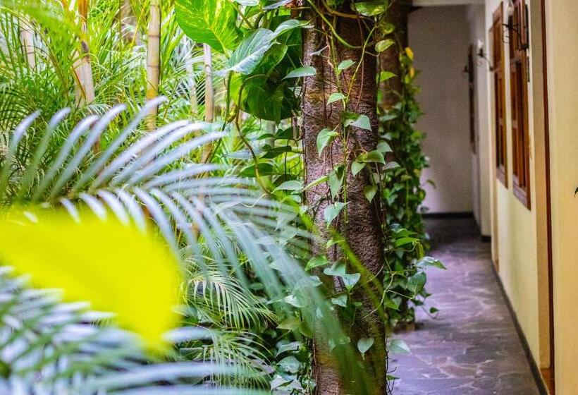 árbol De Fuego Eco Hotel, A Green Experience In The City