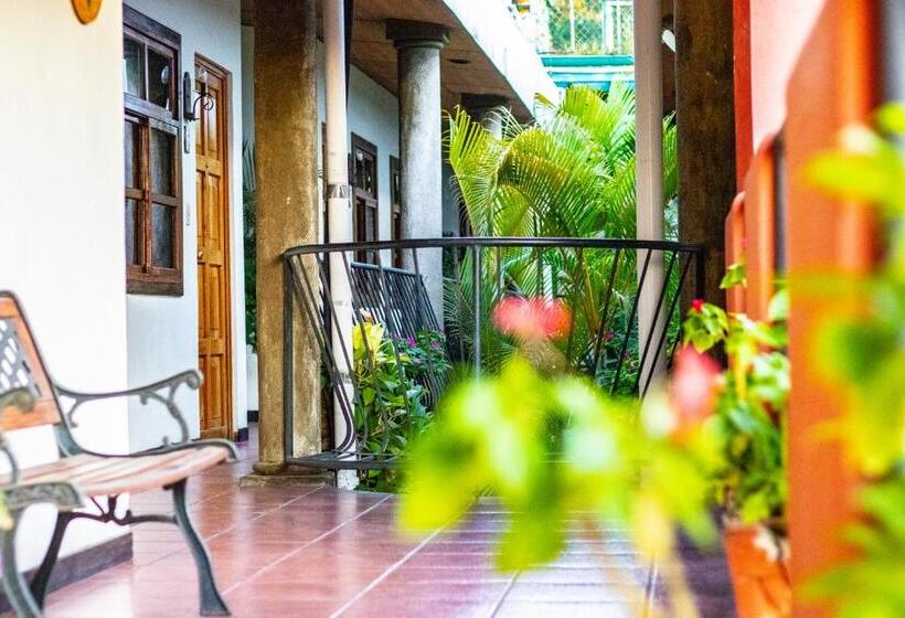 árbol De Fuego Eco Hotel, A Green Experience In The City