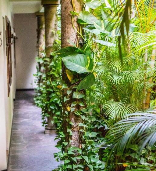 árbol De Fuego Eco Hotel, A Green Experience In The City