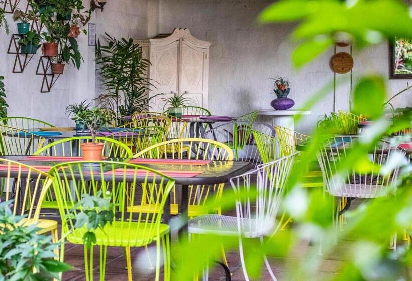 árbol De Fuego Eco Hotel, A Green Experience In The City