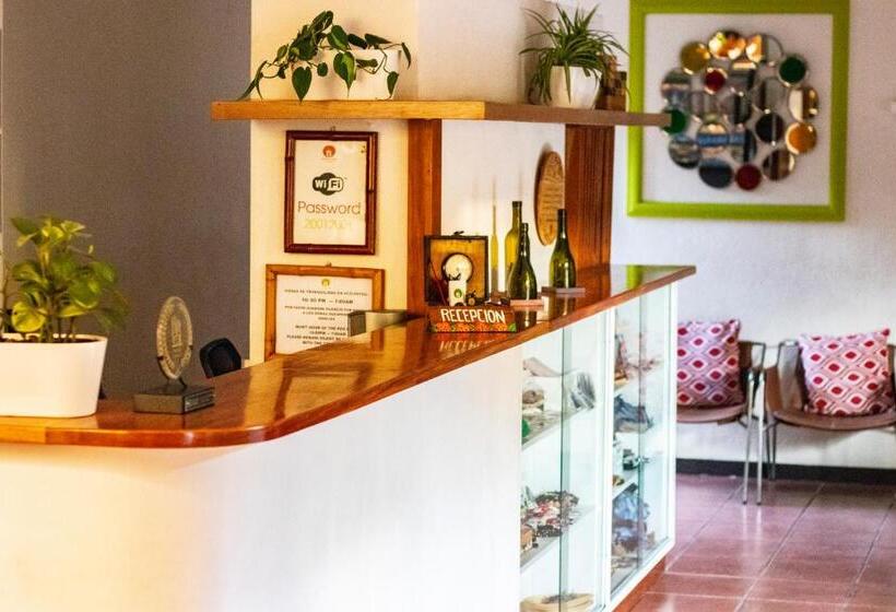 árbol De Fuego Eco Hotel, A Green Experience In The City