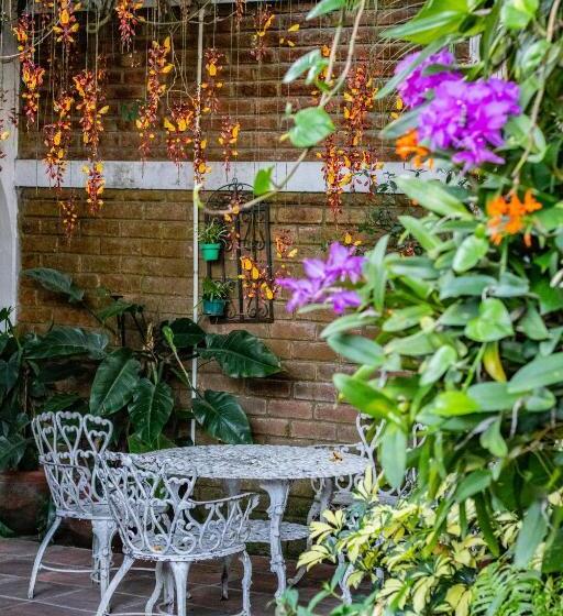 árbol De Fuego Eco Hotel, A Green Experience In The City