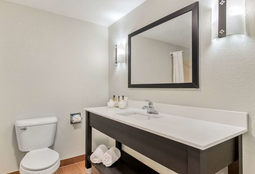 فندق Best Western Plus Fairburnatlanta Southwest