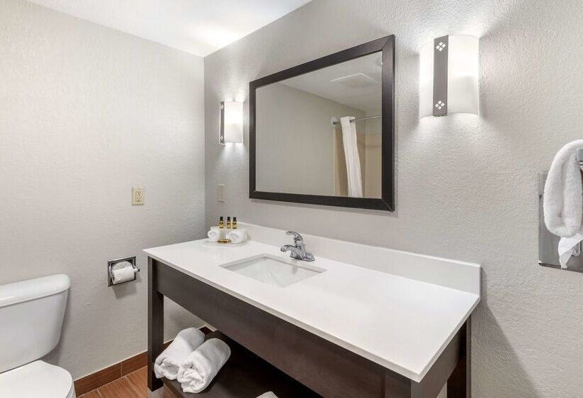 فندق Best Western Plus Fairburnatlanta Southwest