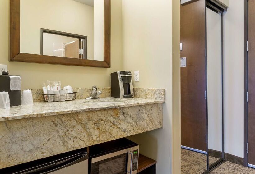 فندق Best Western Plus Lacey Inn & Suites