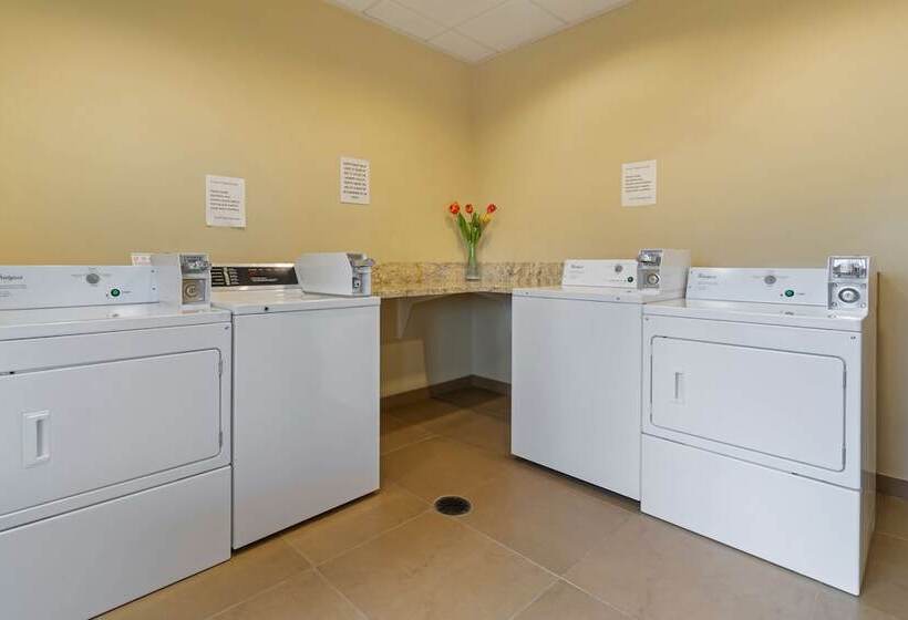 فندق Best Western Plus Lacey Inn & Suites