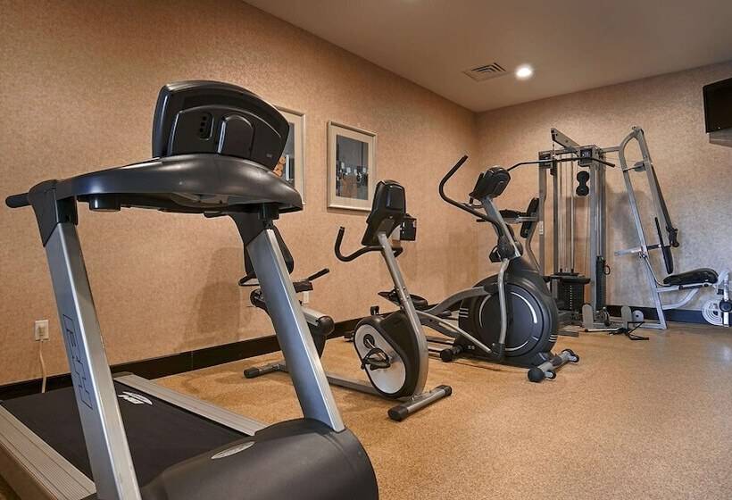 ホテル Best Western Plus Lytle Inn And Suites