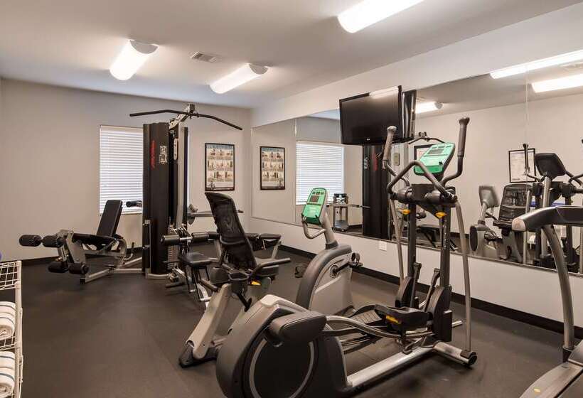 فندق Best Western Plus Sand Bass Inn And Suites