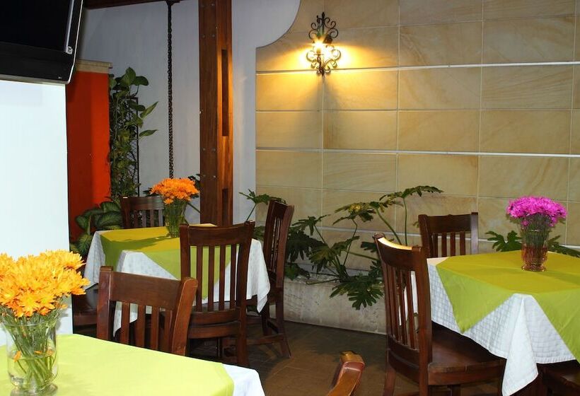 فندق Boutique San Antonio