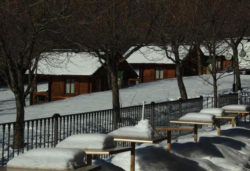 ホテル Bungalows Y Camping Viu