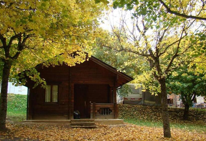 ホテル Bungalows Y Camping Viu