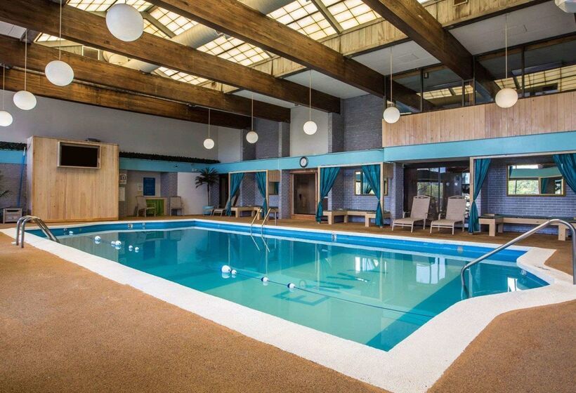 فندق Comfort Inn Airport