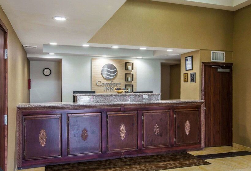فندق Comfort Inn Airport