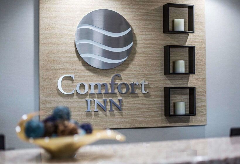 فندق Comfort Inn Airport